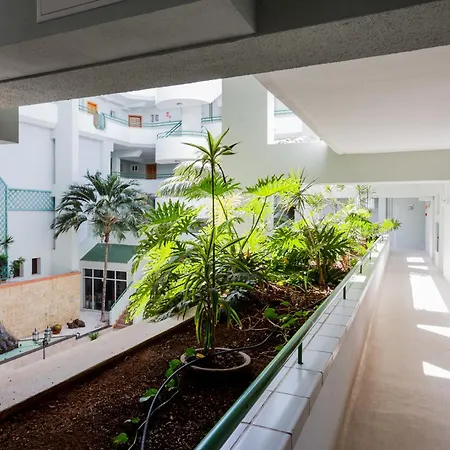 Tropical - La Caleta Appartement *